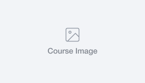 course testing feedback learning path COURSE-20260408-3366465C